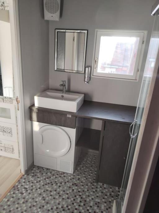 Charmant Appartement Cosy Sélestat Kültér fotó