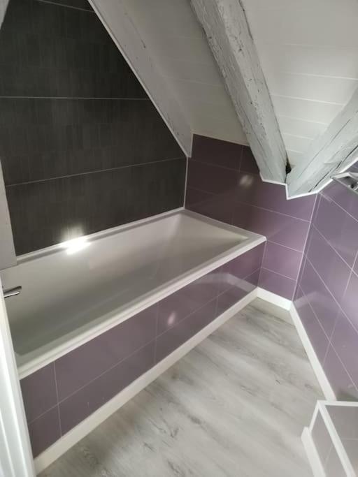 Charmant Appartement Cosy Sélestat Kültér fotó