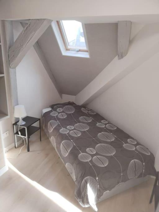 Charmant Appartement Cosy Sélestat Kültér fotó